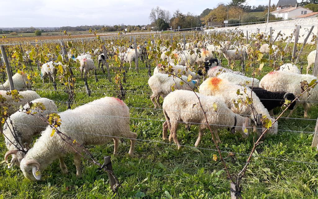 Bio Nouvelle-Aquitaine